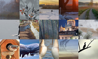 Картина дня