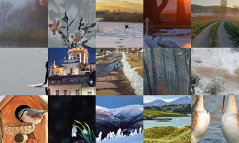 Картина дня