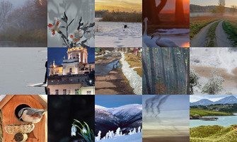 Картина дня