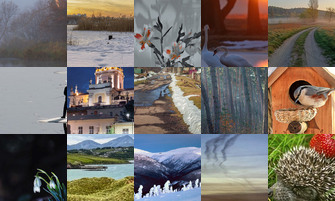 Картина дня