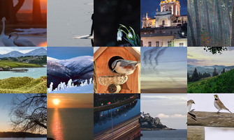 Картина дня