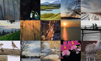 Картина дня