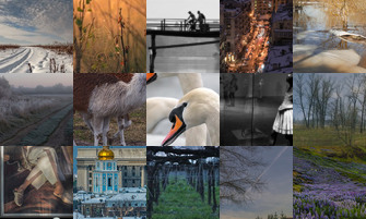 Картина дня