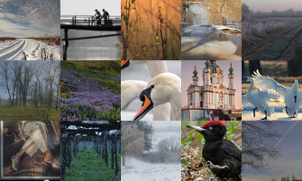 Картина дня