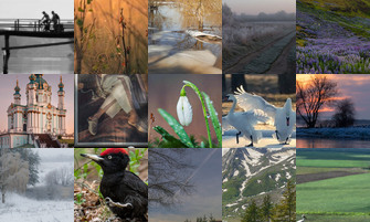 Картина дня