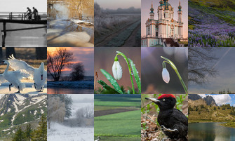 Картина дня