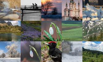 Картина дня