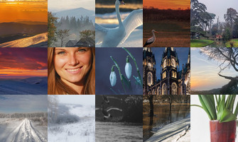 Картина дня