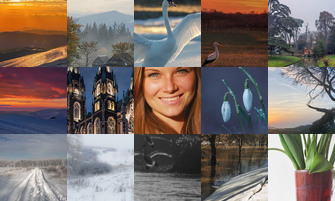 Картина дня