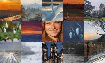 Картина дня