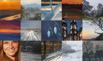 Картина дня