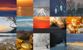 Картина дня