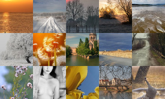 Картина дня