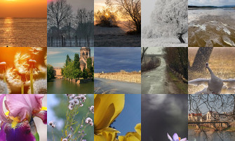 Картина дня