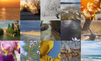 Картина дня