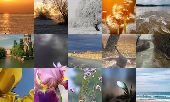 Картина дня