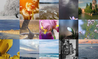 Картина дня