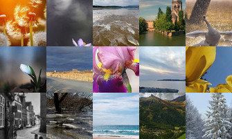 Картина дня