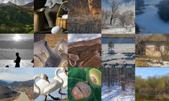 Картина дня