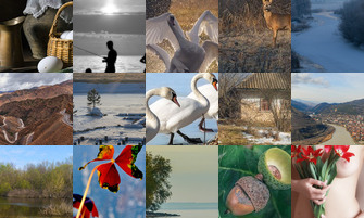 Картина дня