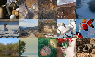 Картина дня