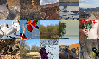 Картина дня