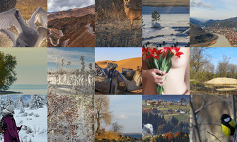 Картина дня