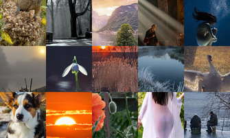 Картина дня