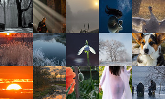 Картина дня