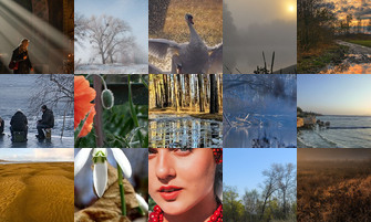 Картина дня