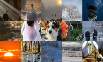 Картина дня