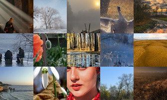 Картина дня