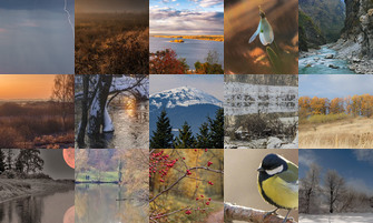 Картина дня