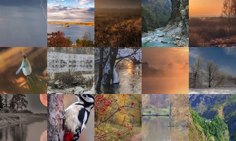 Картина дня