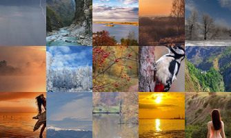 Картина дня