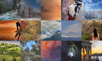 Картина дня