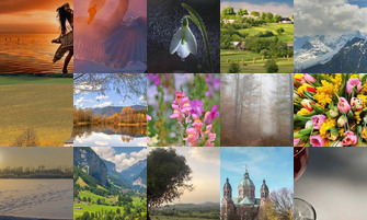 Картина дня