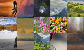 Картина дня