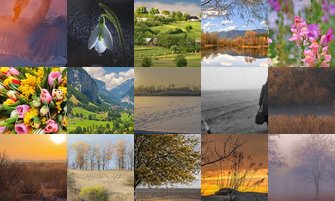 Картина дня