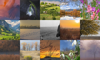 Картина дня