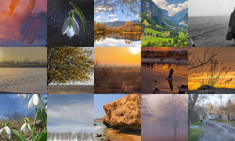 Картина дня