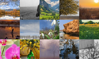 Картина дня