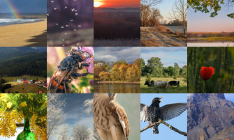 Картина дня