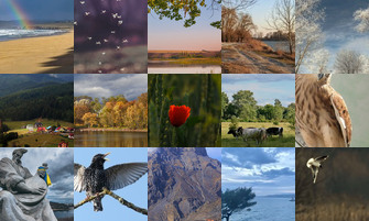 Картина дня