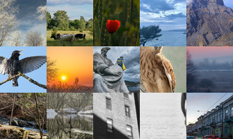 Картина дня