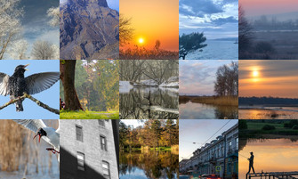 Картина дня