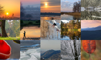 Картина дня