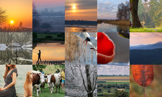 Картина дня