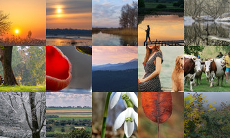 Картина дня