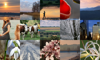 Картина дня